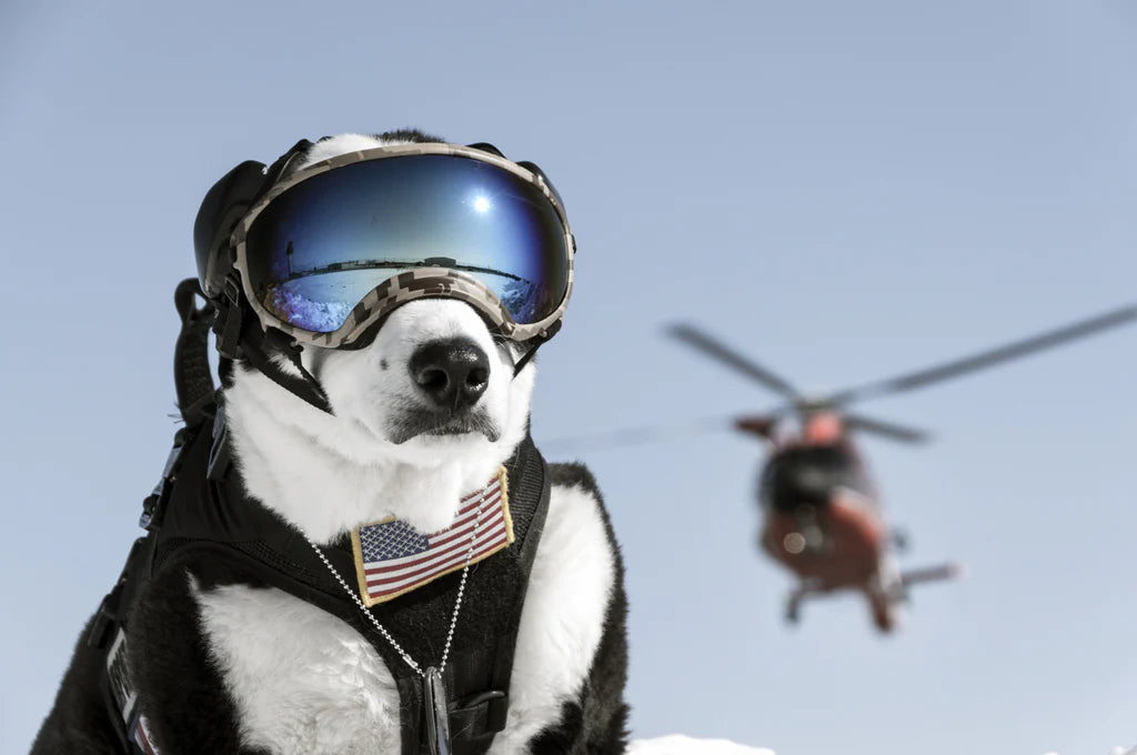 Leader K9™ Dog Goggles Anti-UV Sun Glasses Eyewear Protection