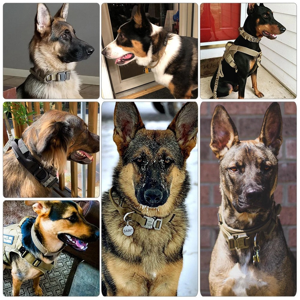 Leader K9™ Mission-Ready Gear Set