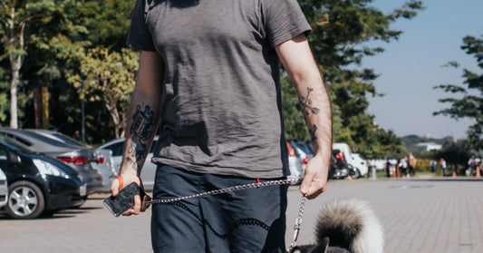 Man walking a Siberian Husky outdoors in a sunny park setting