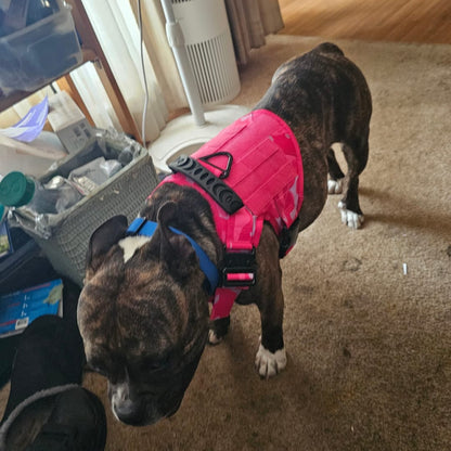 Leader K9™ No-Pull Tactical Dog Harness (Original) – Full Control for Power Breeds