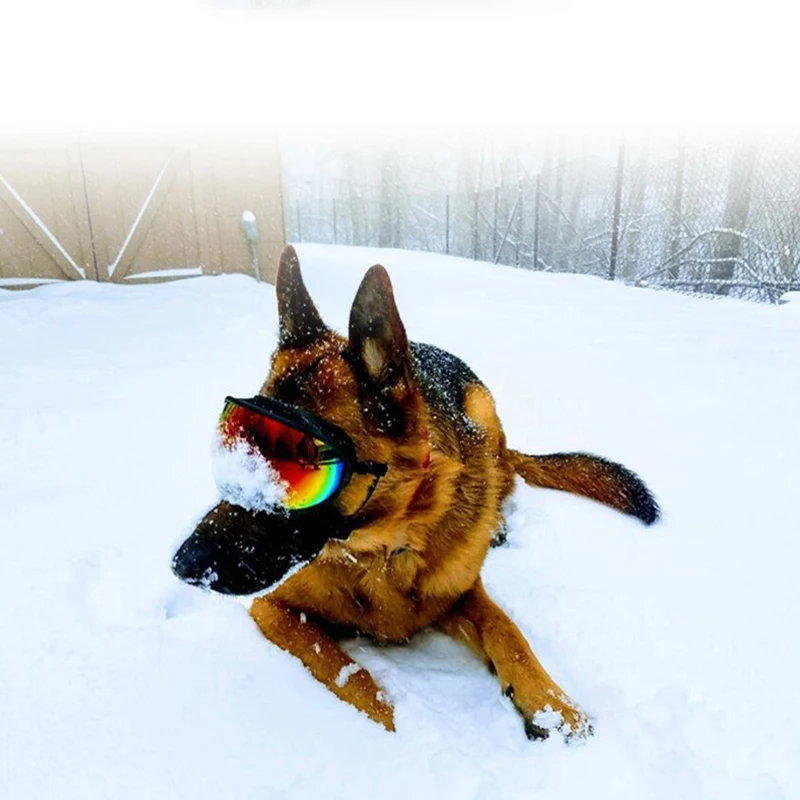 Leader K9™ Dog Goggles Anti-UV Sun Glasses Eyewear Protection