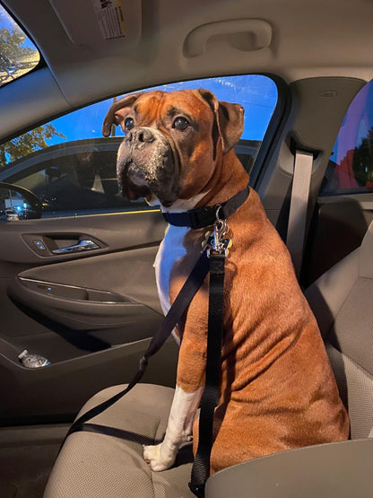 Leader K9™ Car Safety Belt For Dogs