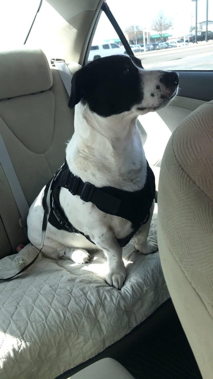 Leader K9™ Car Safety Belt For Dogs