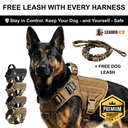 German Shepherd wearing Leader K9 tactical dog harness with free bungee dog leash