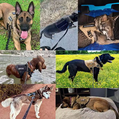 Leader K9™ No-Pull Tactical Dog Harness – Full Control for Power Breeds