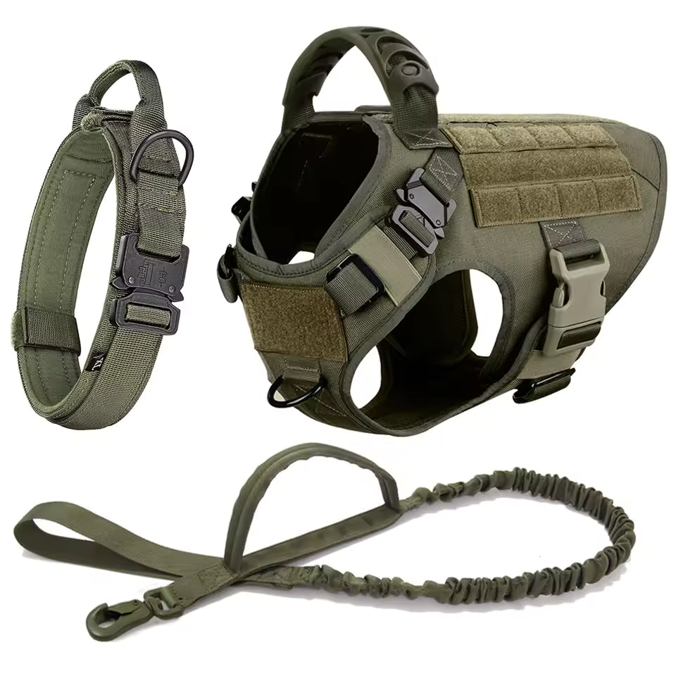 Leader K9™ Mission-Ready Gear Set