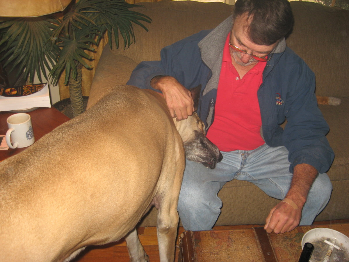 files/best-dogs-for-seniors-large-and-giant-breeds.jpg