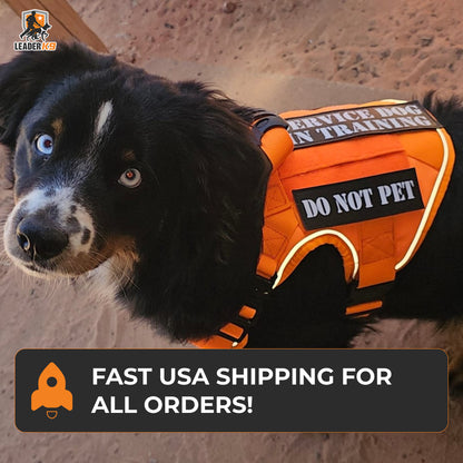 Leader K9 Tactical Dog Harness