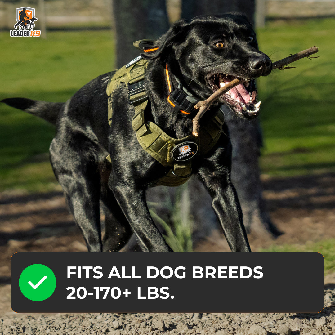 Leader K9 Tactical Dog Harness