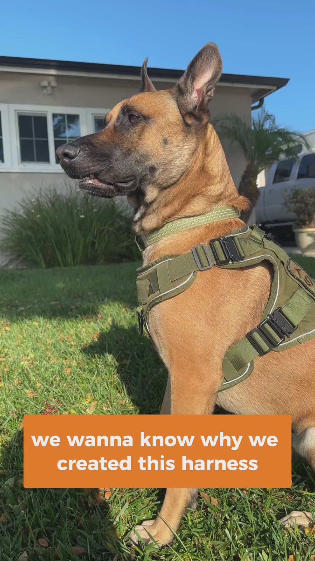 Leader K9 No-Pull Tactical Dog Harness – Full Control for Power Breeds