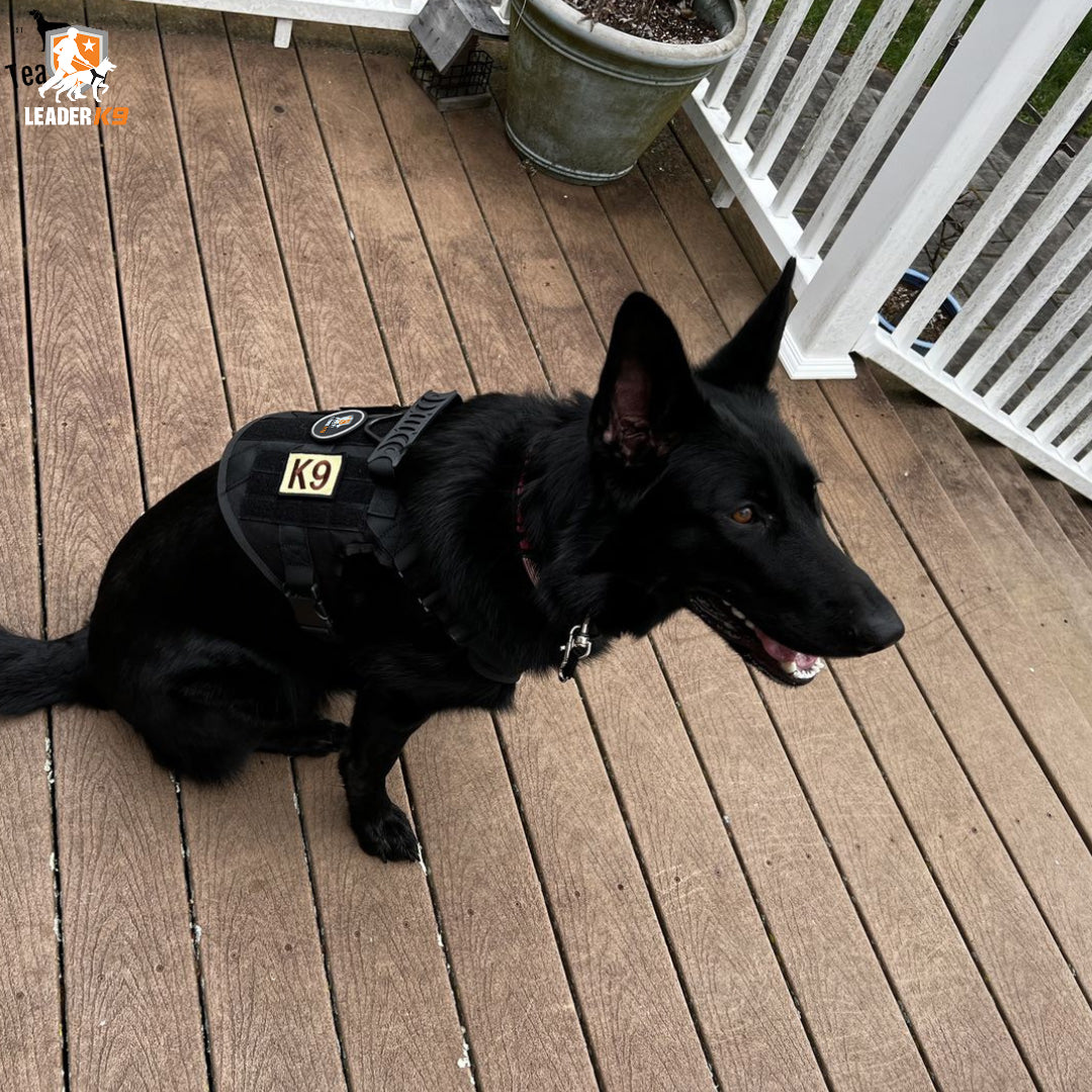 Leader K9™ No-Pull Tactical Dog Harness (Original) – Full Control for Power Breeds