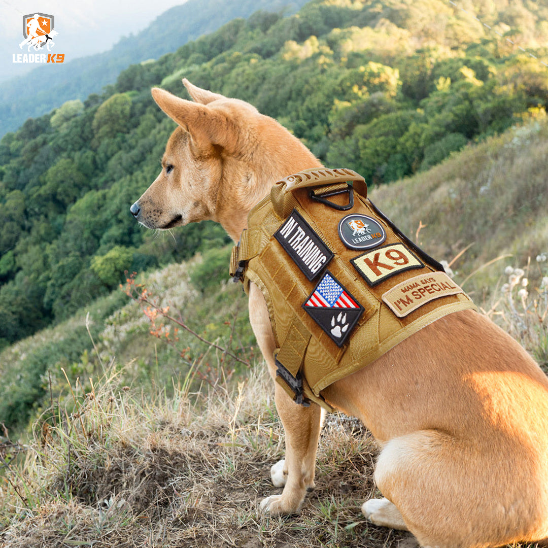 Leader K9™ No-Pull Tactical Dog Harness (Original) – Full Control for Power Breeds