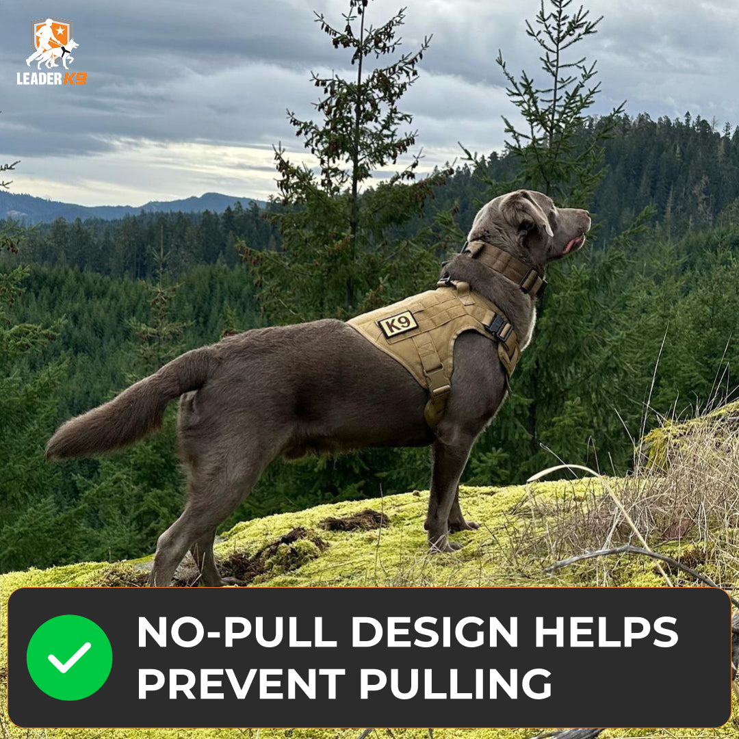 Leader K9™ No-Pull Tactical Dog Harness (Original) – Full Control for Power Breeds