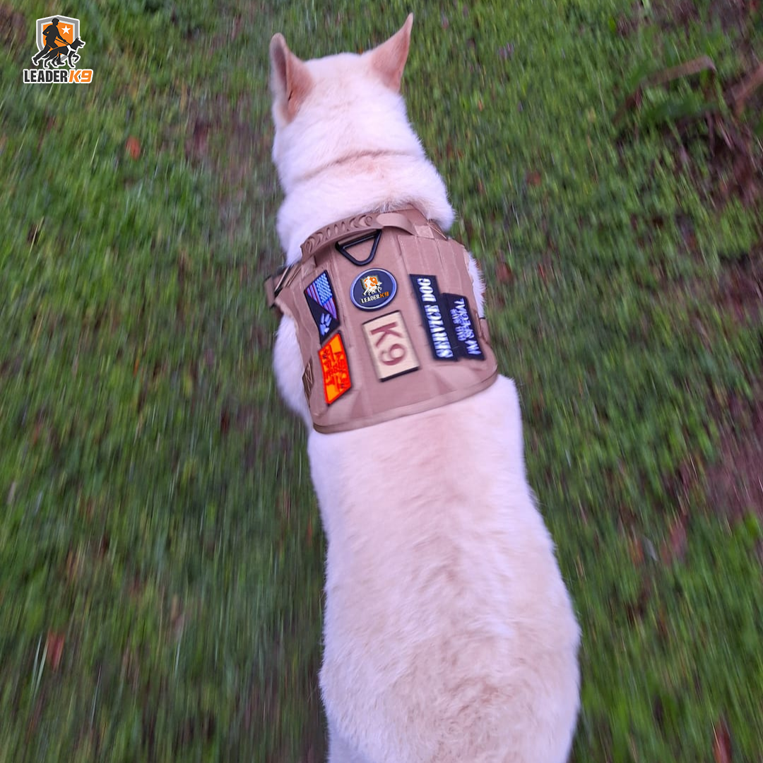 Leader K9 Tactical Dog Harness